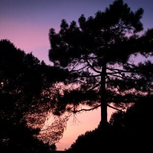 camping Le Bellevue valras le domaine